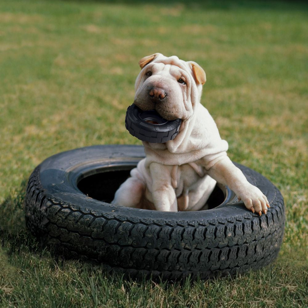 A cute puppy is playing with black tyre