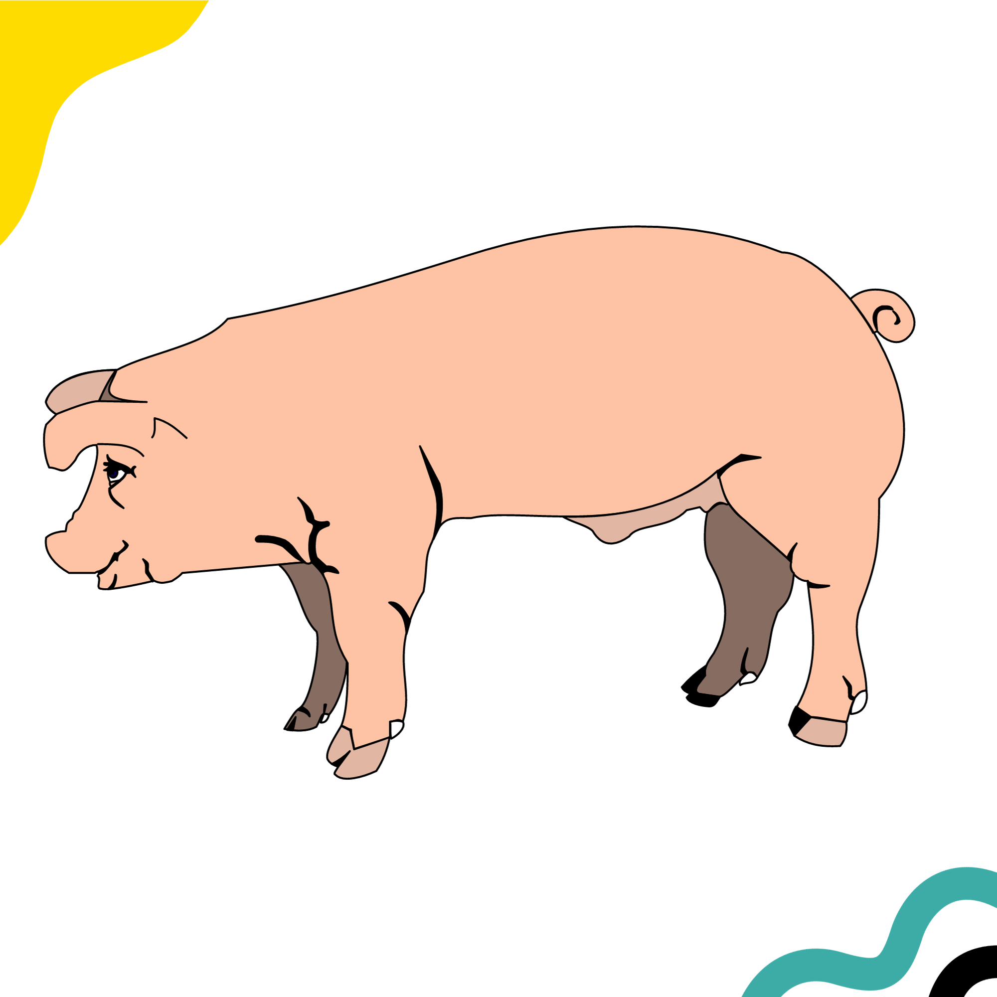 Visual demonstration of a pig, a great source of a dog food