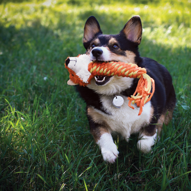 Puppy Toys