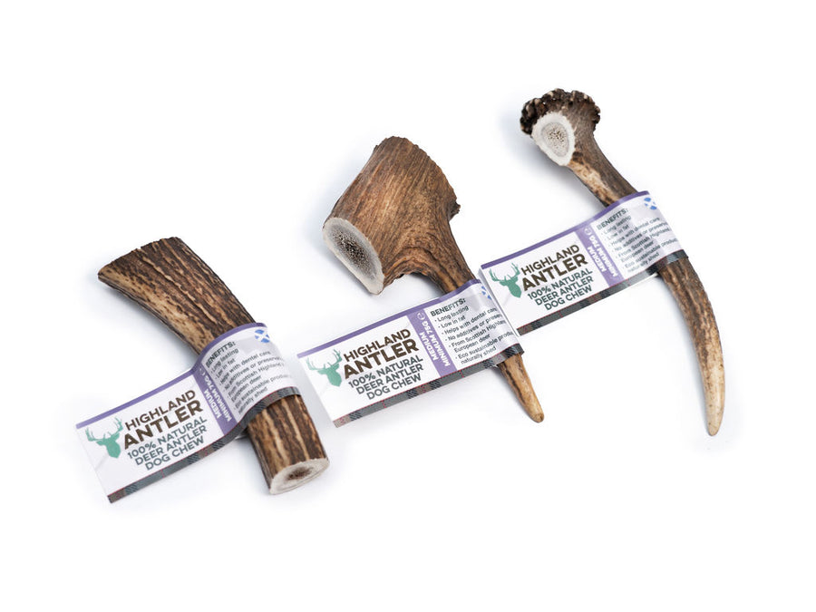 Highland deer antler natural chew for dog in different size