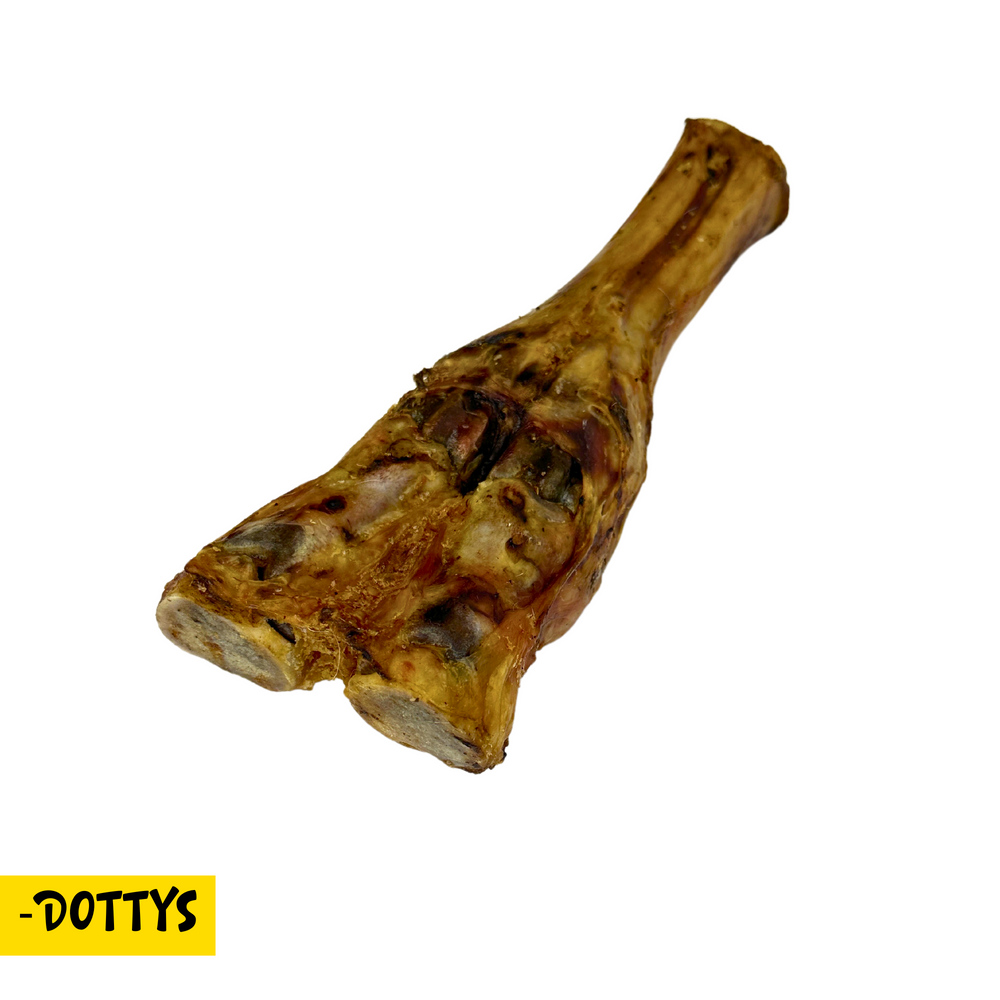 Angle view of beef leg bone