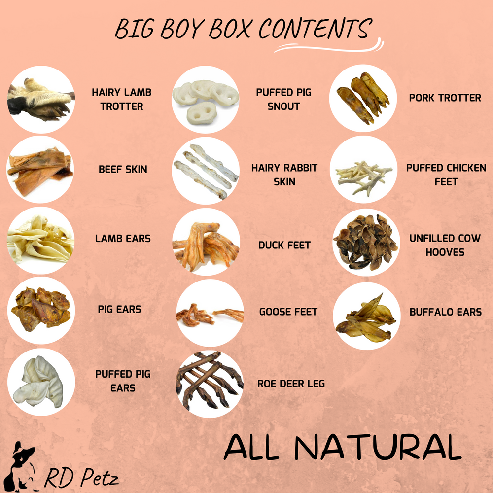 Visualization of the all ingredients the big boy natural dog treat box contain