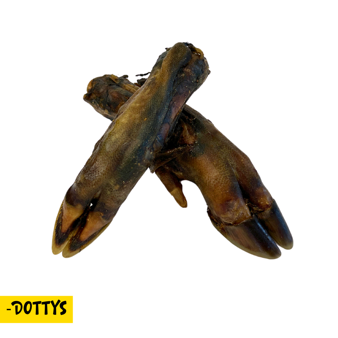 Natural wild boar trotter dog chew