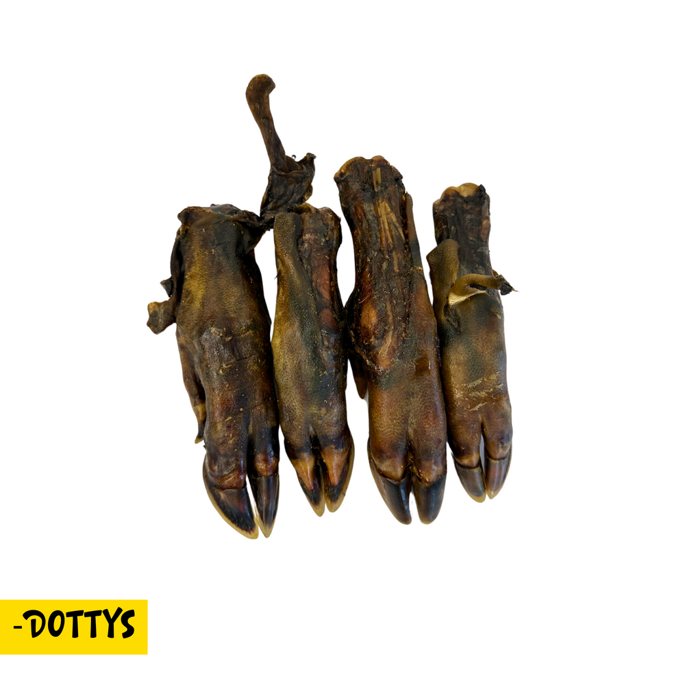 Natural wild boar trotter dog chew