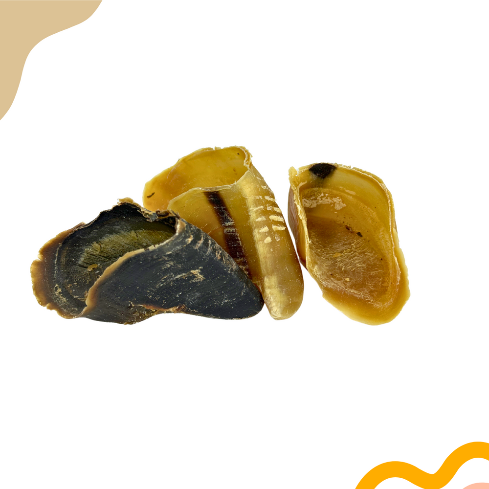 Nutritious cow hooves unfilled for dog