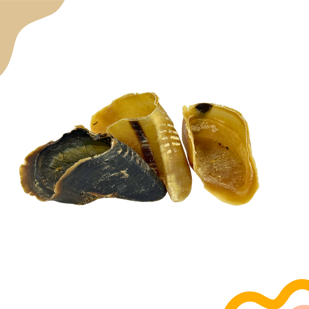 Nutritious cow hooves unfilled for dog