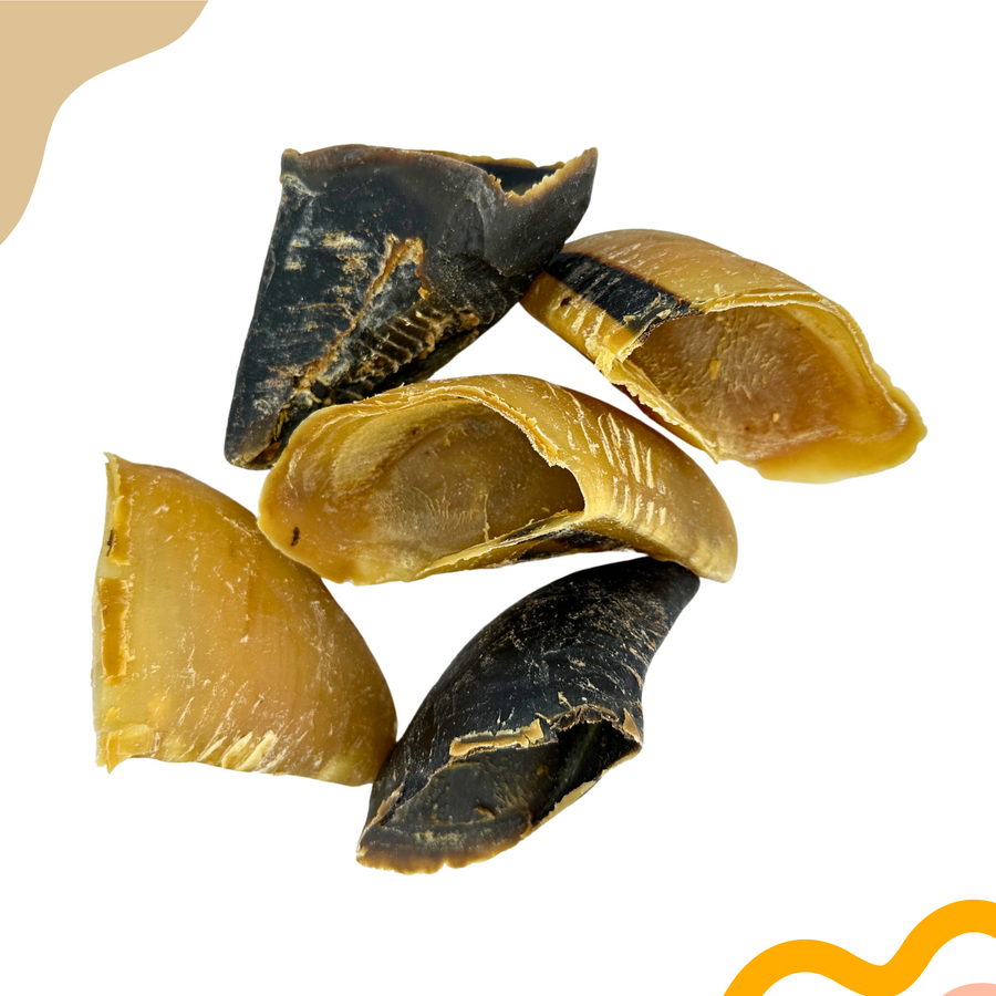 Cow hooves unfilled natural chew for dogs