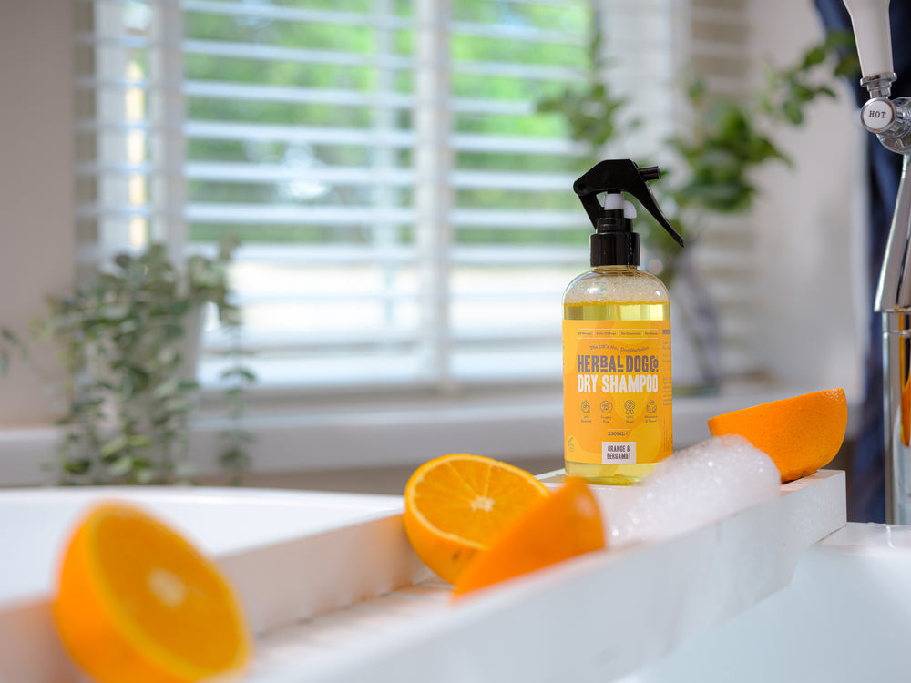 Orange and bergamot dry shampoo with the demonstration of oranges