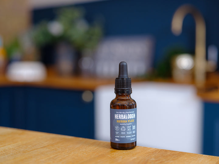 Bottle of herbal dog mobility tonic for joint care on a table