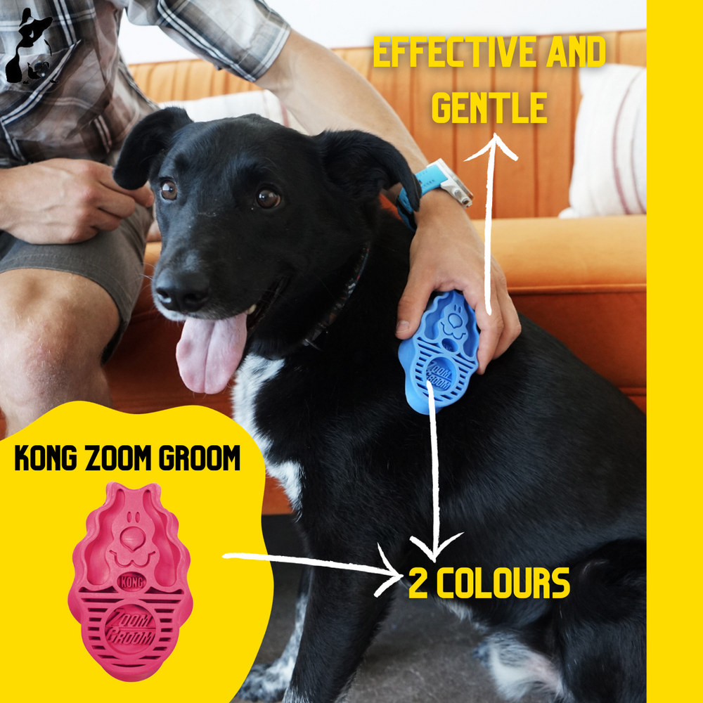 A man is using zoom groom on a dog