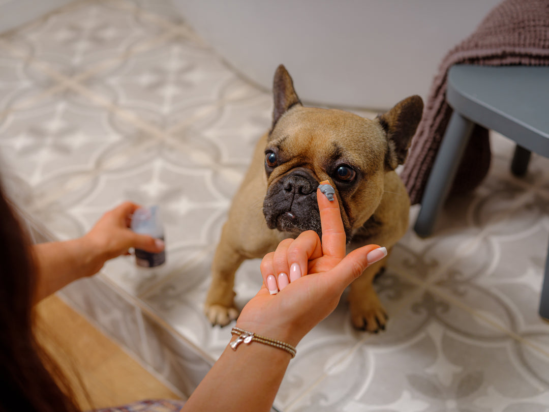 Nose Lotion For Dogs - Cracked/Dry/Damaged