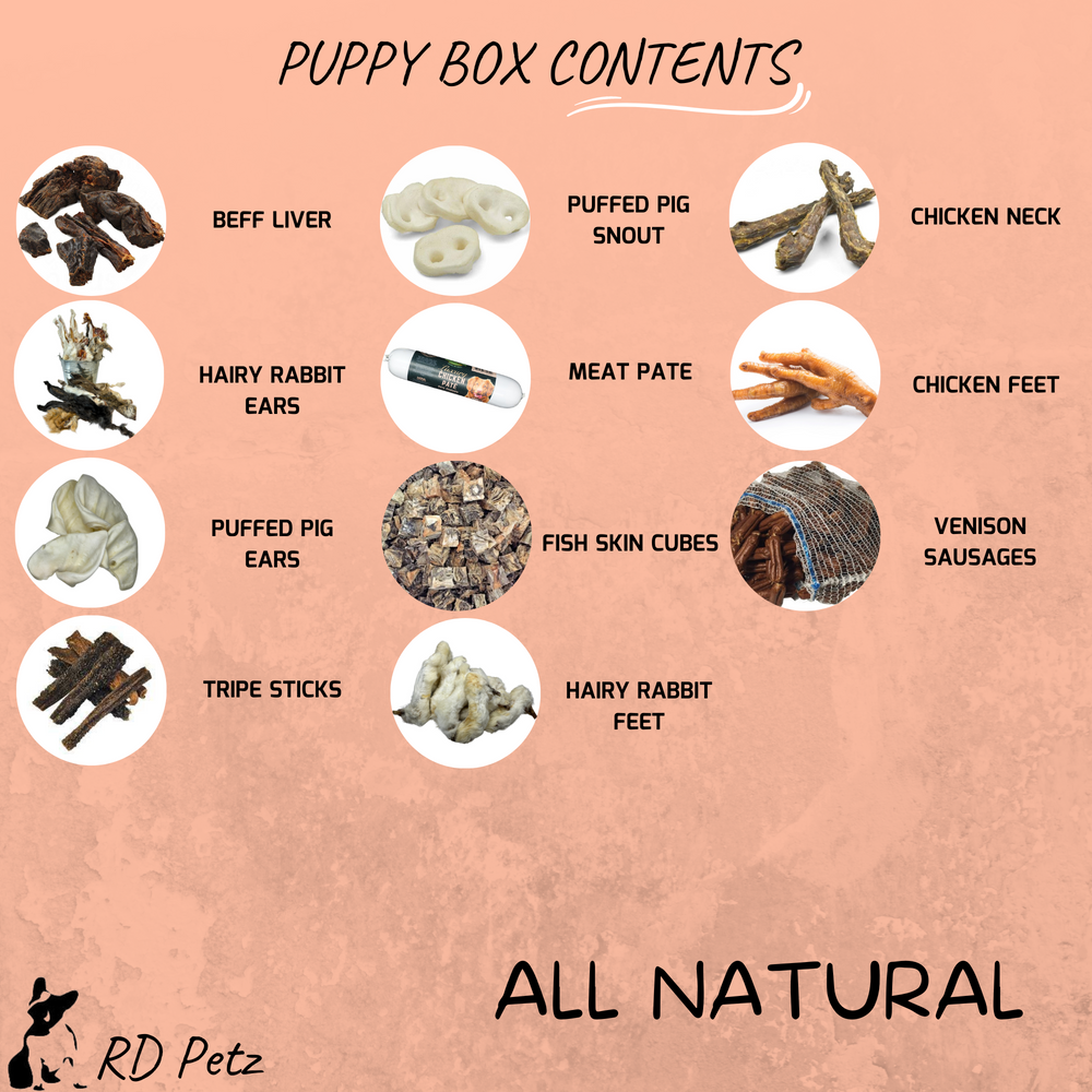 List of all contents of puppy natural dog treat box with visual presentation