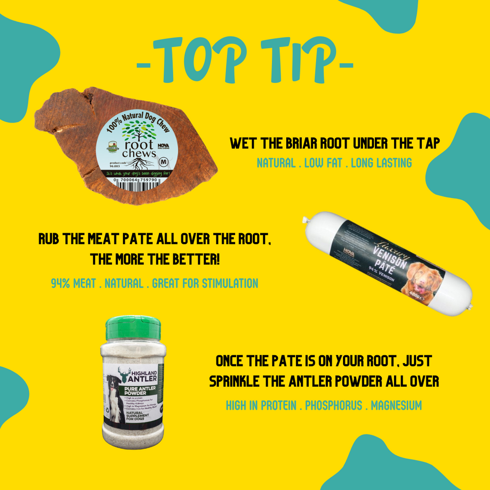 Top tips for taking briar root chew