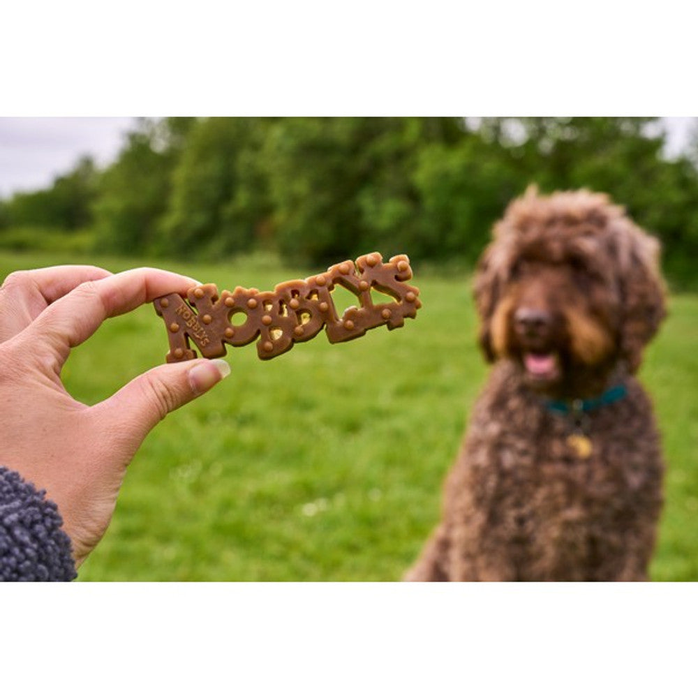 Petello nobblys peanut butter chew is showed to a dog