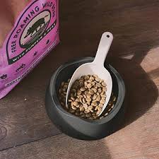 Pet food in bowl