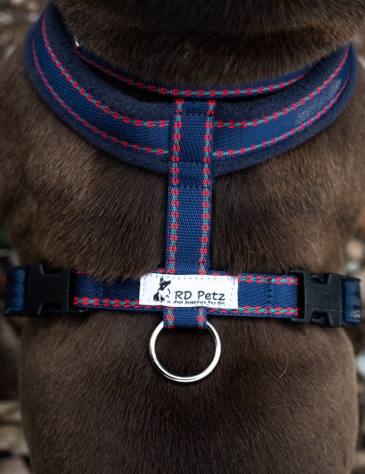 A dog with wearing fleece harness