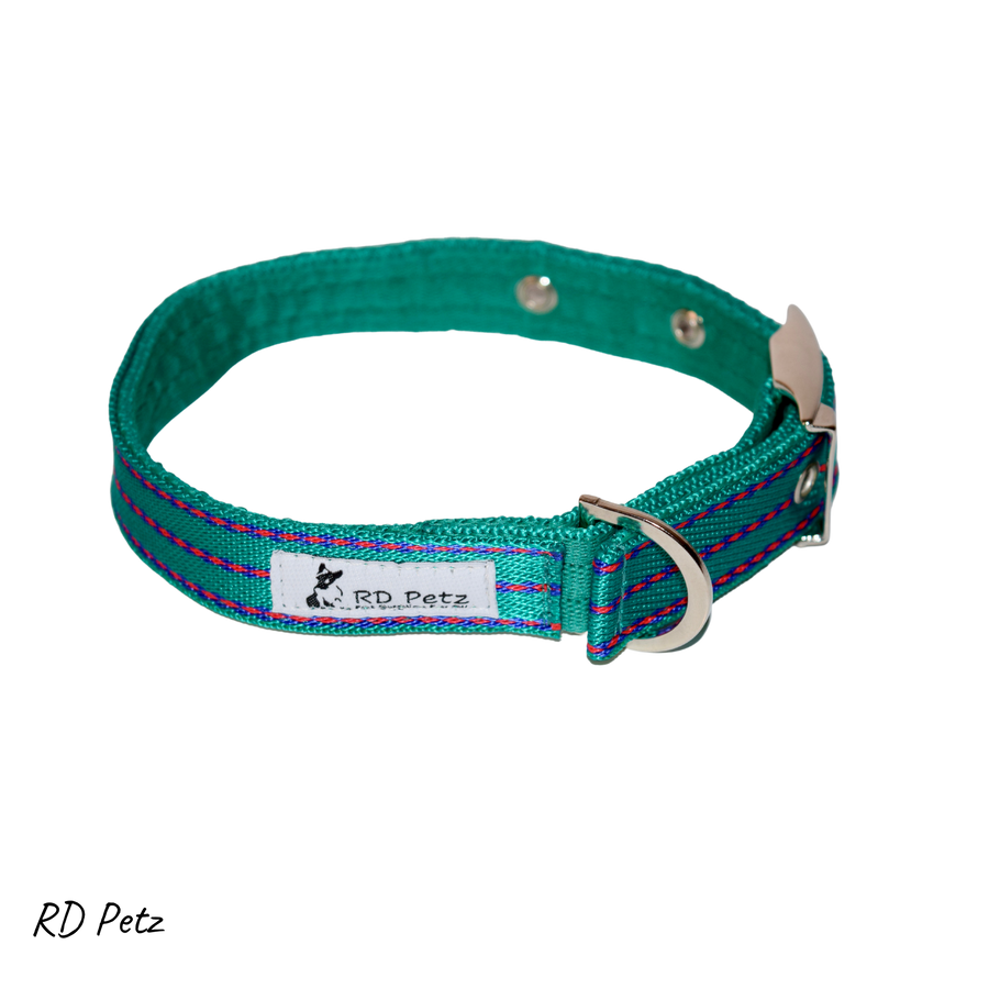 Large size gypsy green color buckle collar for dogs