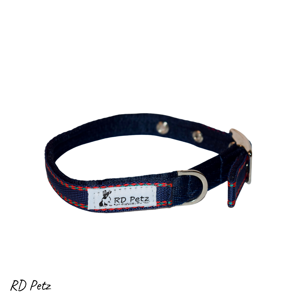 Medium size gypsy blue color buckle collar for dogs
