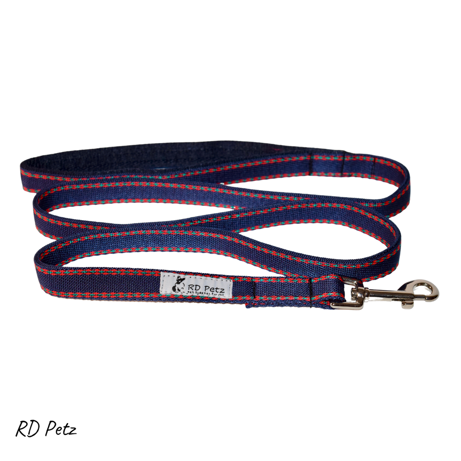 Gypsy blue color medium size lead for dog