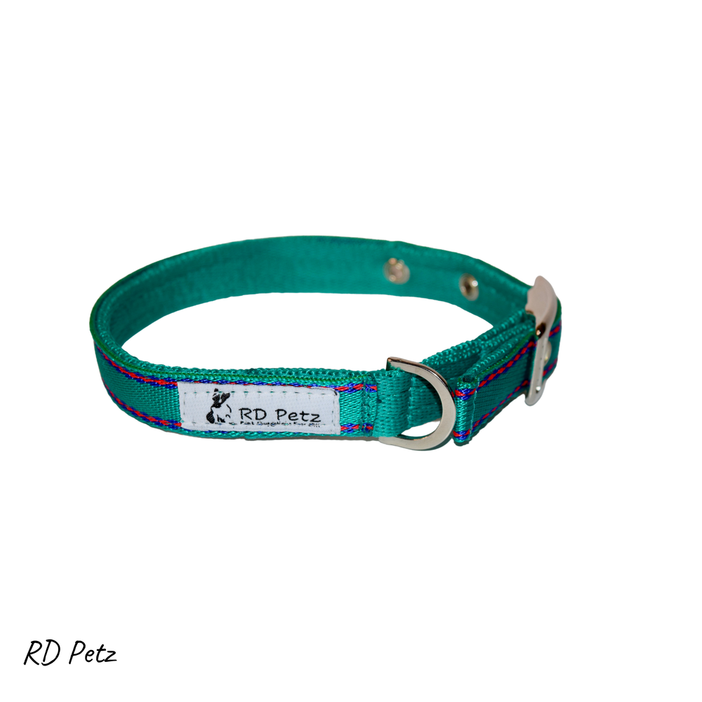 Medium size gypsy green color buckle collar for dogs