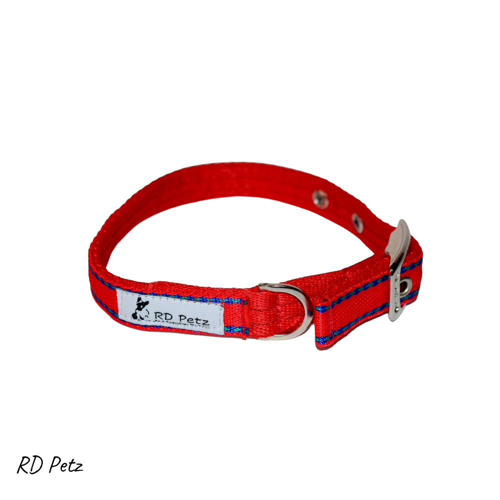 Medium size gypsy red color buckle collar for dogs