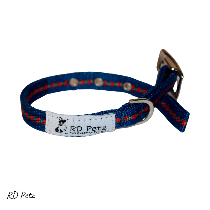 Small size gypsy blue color buckle collar for dogs