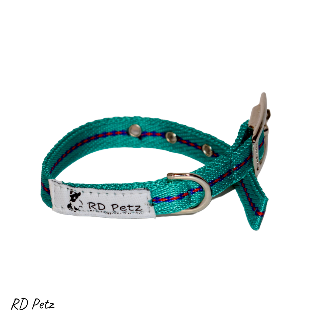 Small size gypsy green color buckle collar for dogs