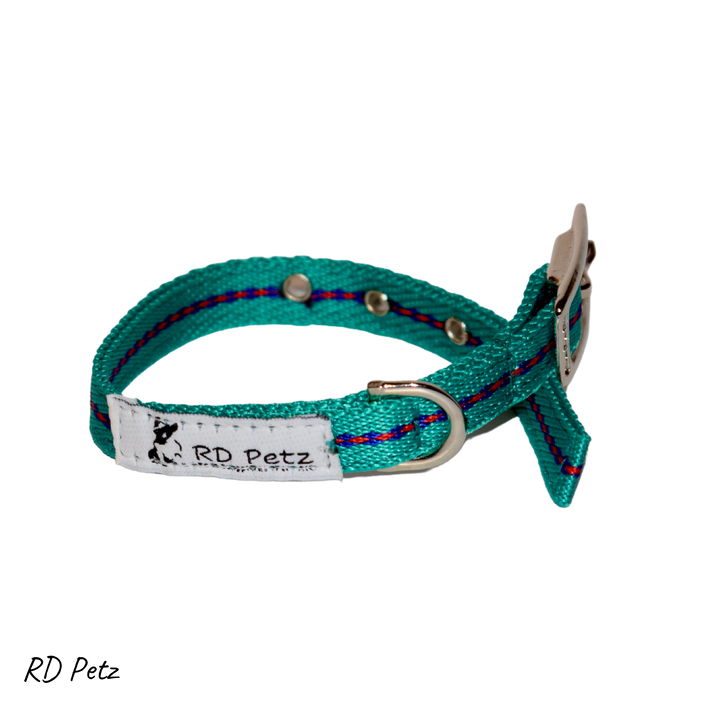 Small size gypsy green color buckle collar for dogs
