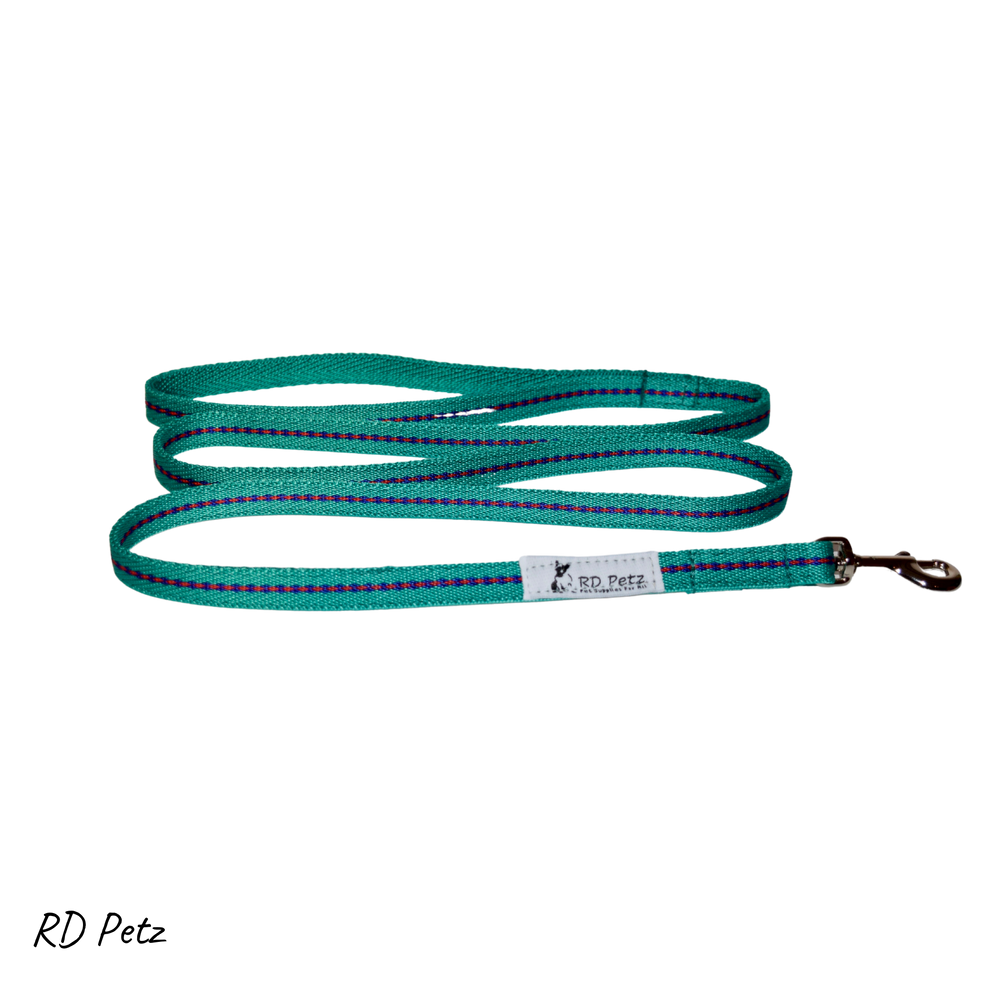 Gypsy green color small size lead for dog