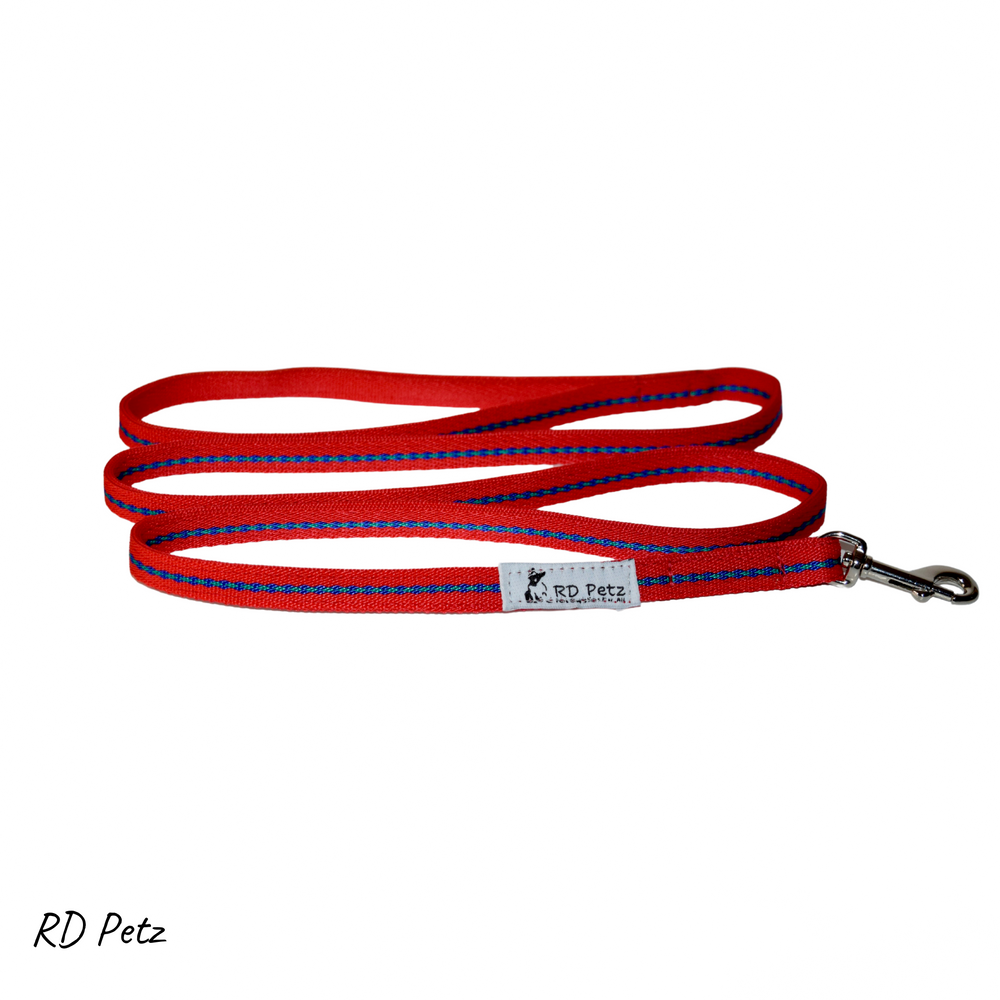 Gypsy red color small size lead for dog