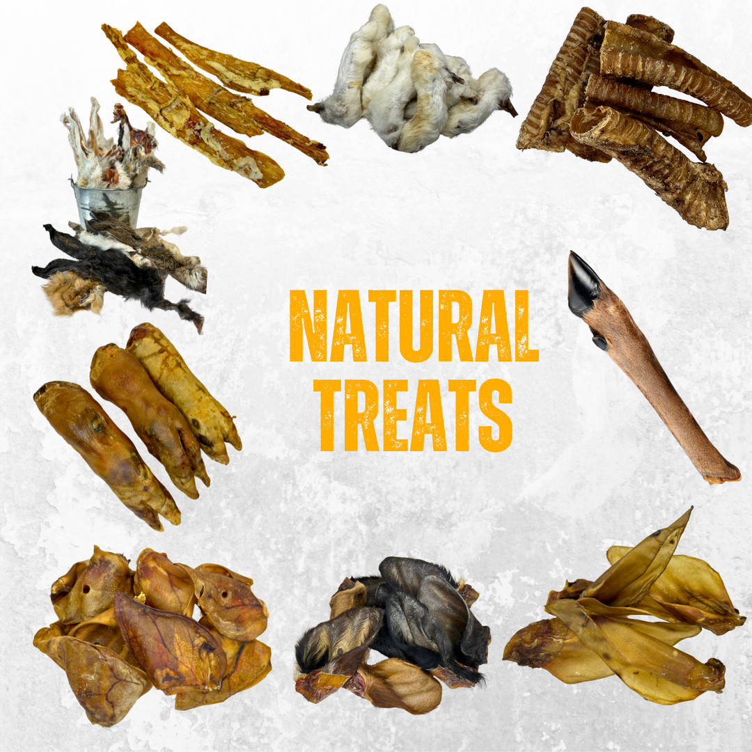 Our Expansion Into Natural Dog Treats!