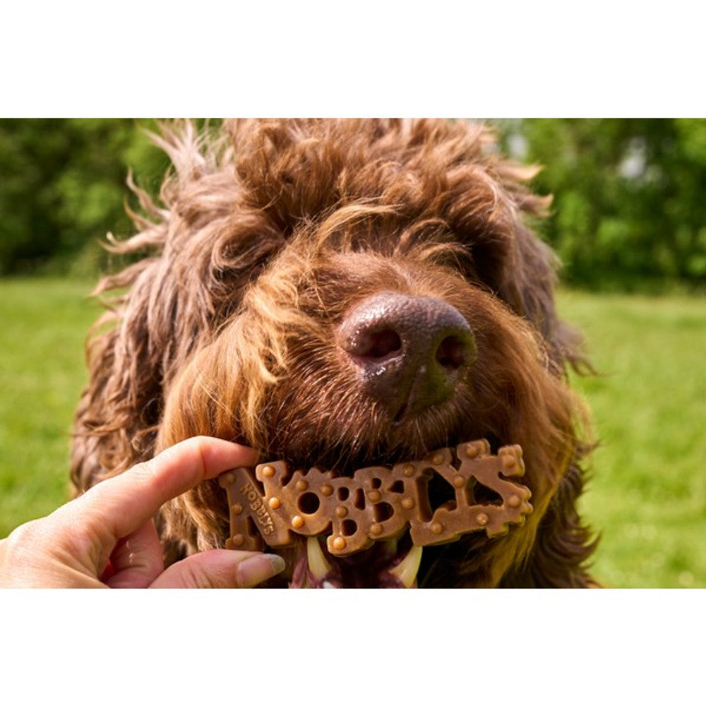 A long lasting chew is being hold in front of a dog