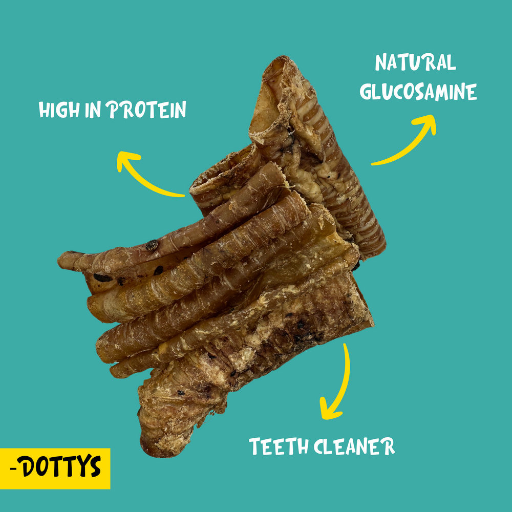 Features of beef trachea dog treat
