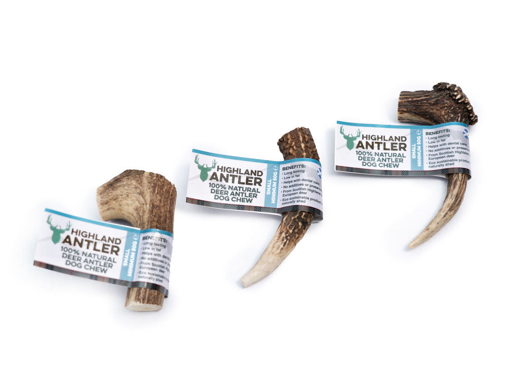 Three highland deer antler natural chew for dog in different size