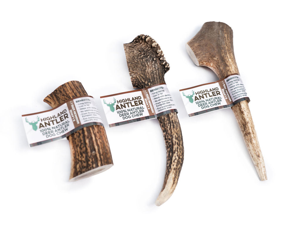 Trio highland deer antler natural chew for dog in different size