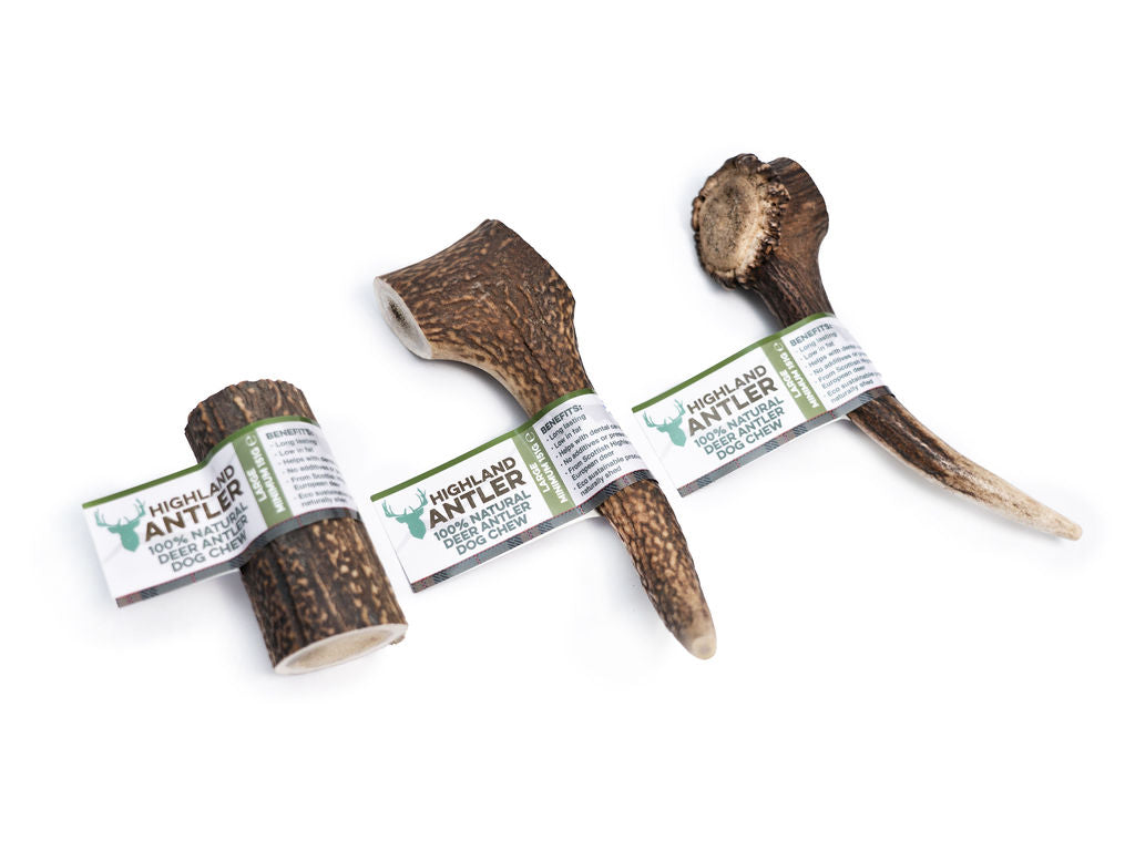 Trio highland deer antler natural chew for dog in different size