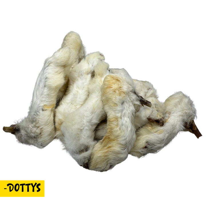 Natural and nutritional hairy rabbit feet 