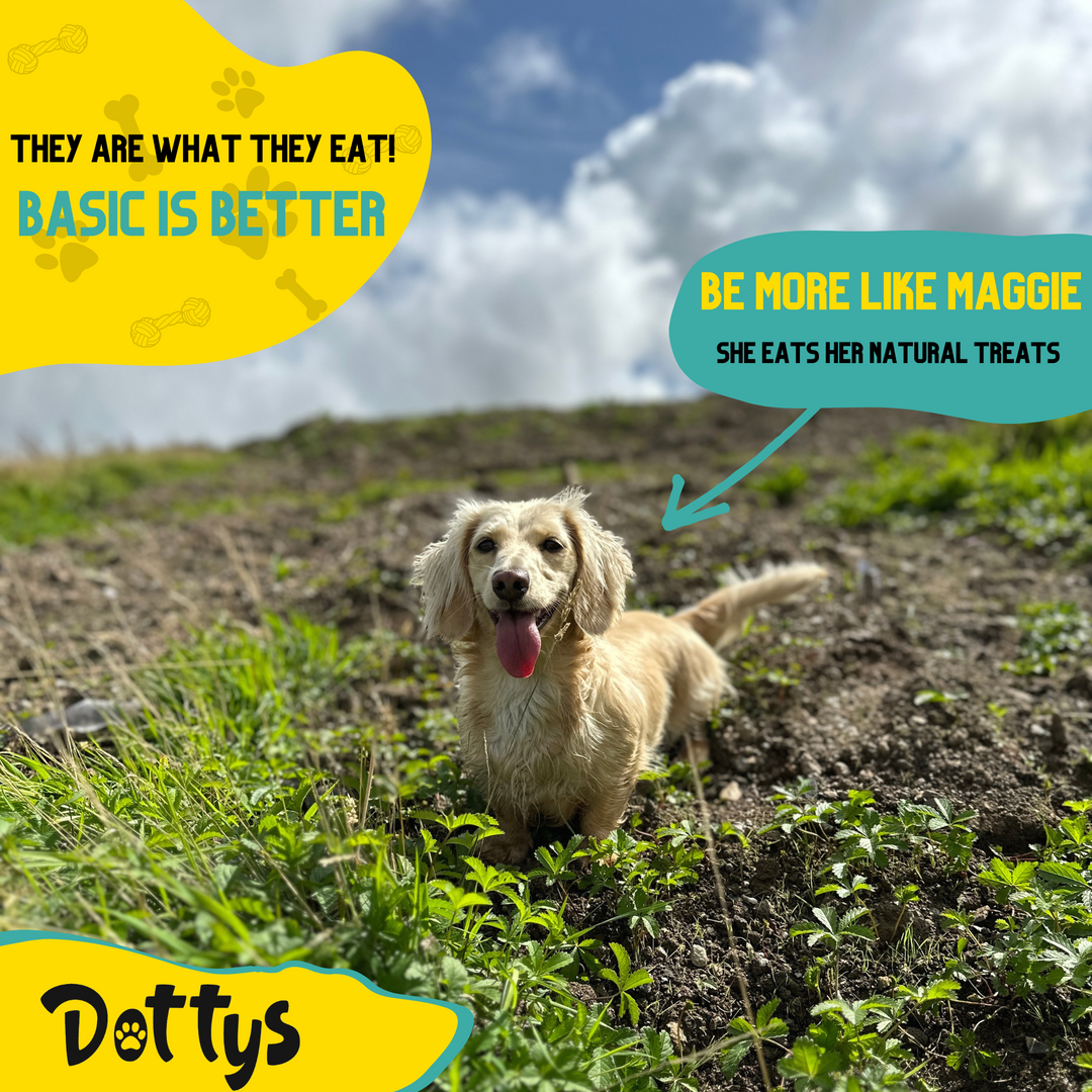 A dog stands proudly in the lush green grass, with a heartwarming quote in the background