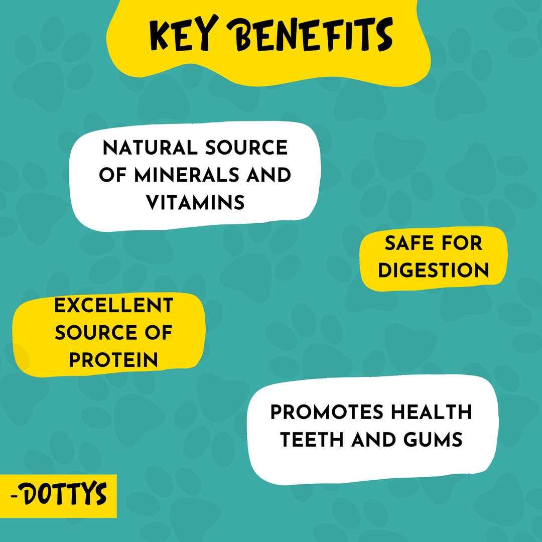 List of benefits for dog's health