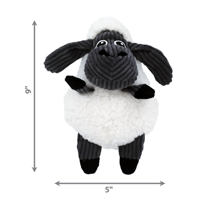 Demonstration of sherps sheep with size measurement