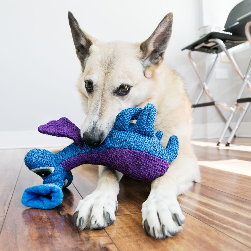 KONG Woozle Blue Dog Toy