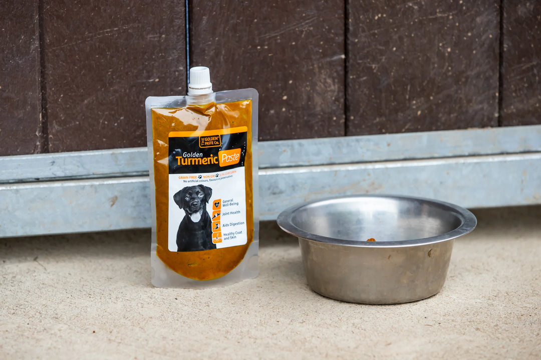 Turmeric Golden Paste for Dogs