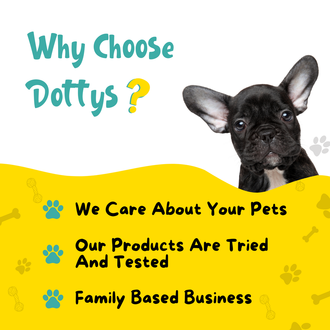 Visual demonstration on the reasons of choosing dotty