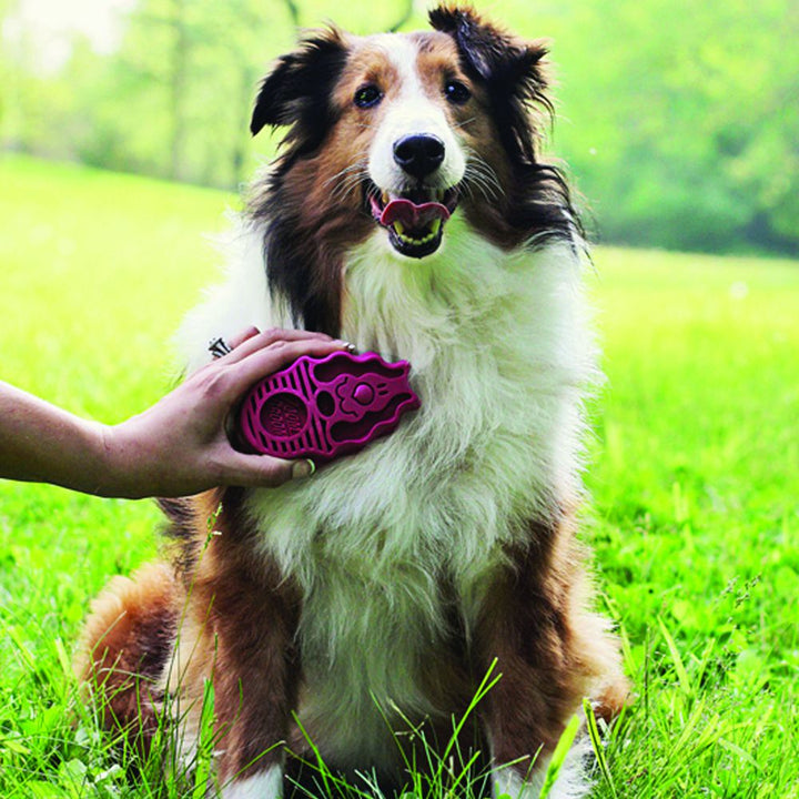 Zoom groom is being used on a cute dog 