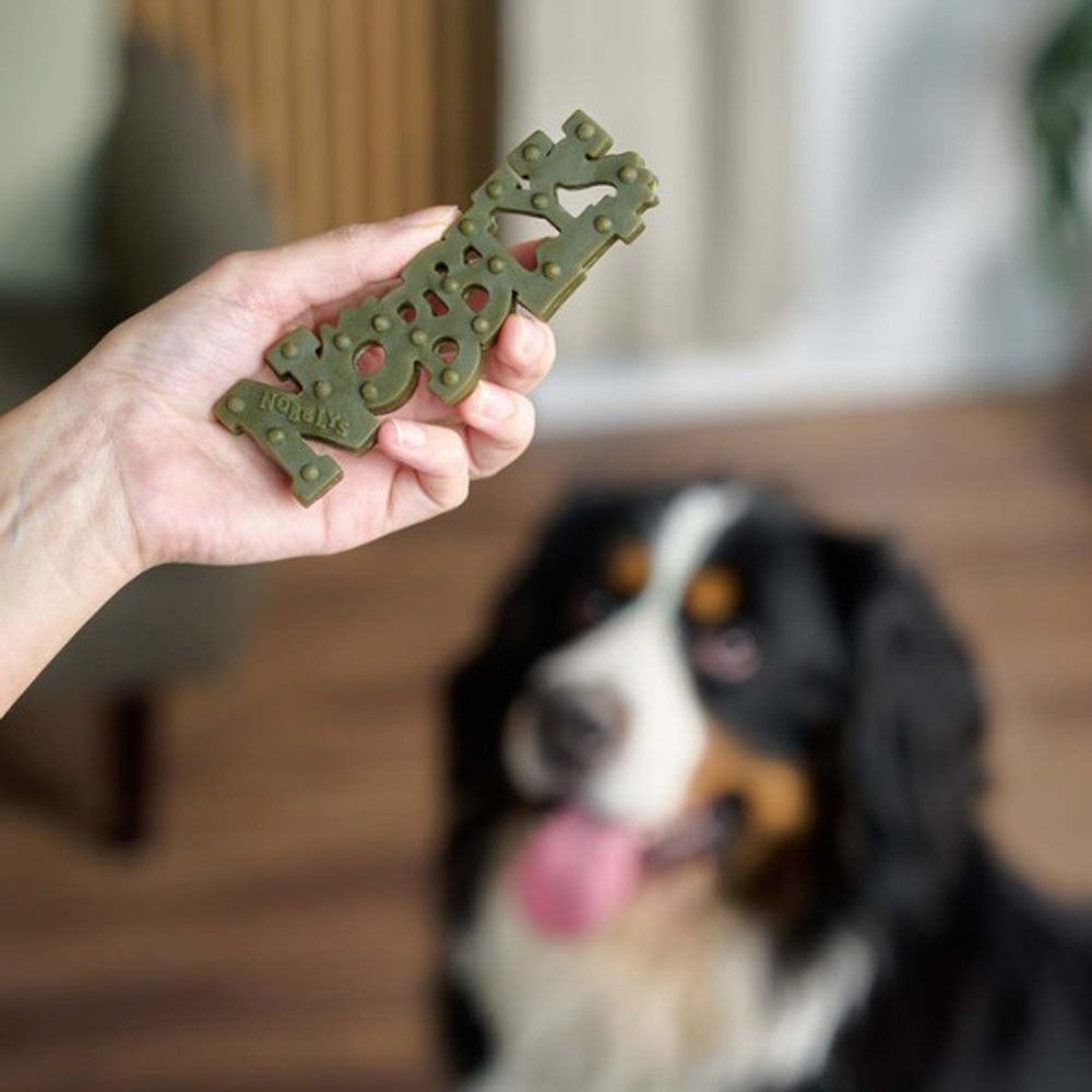 Petello nobblys mint chew is showed to a dog 