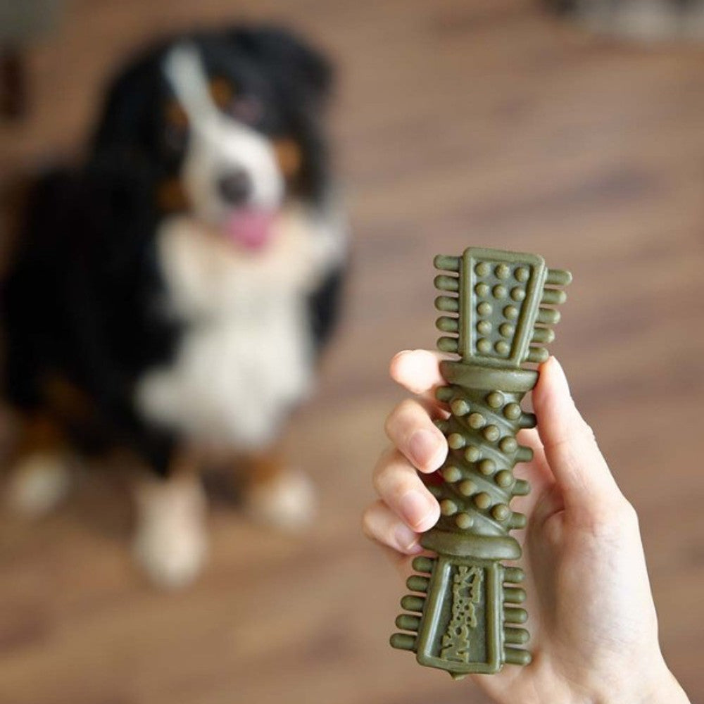Petello nobblys tough brush mint is being shown to a dog