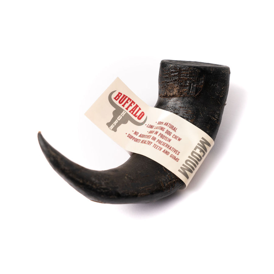 Natural and nutritious buffalo horn for dog