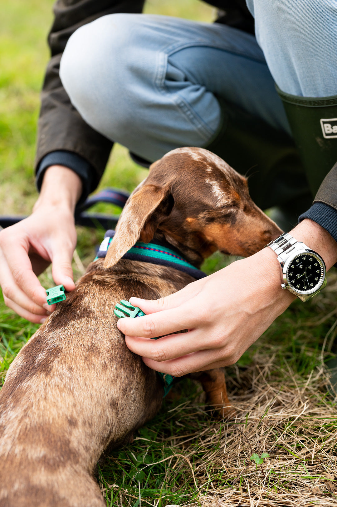 A man is wearing harness to dog