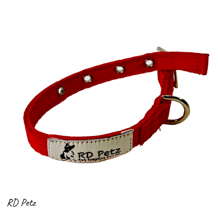 Extra small size red color buckle collar for dogs